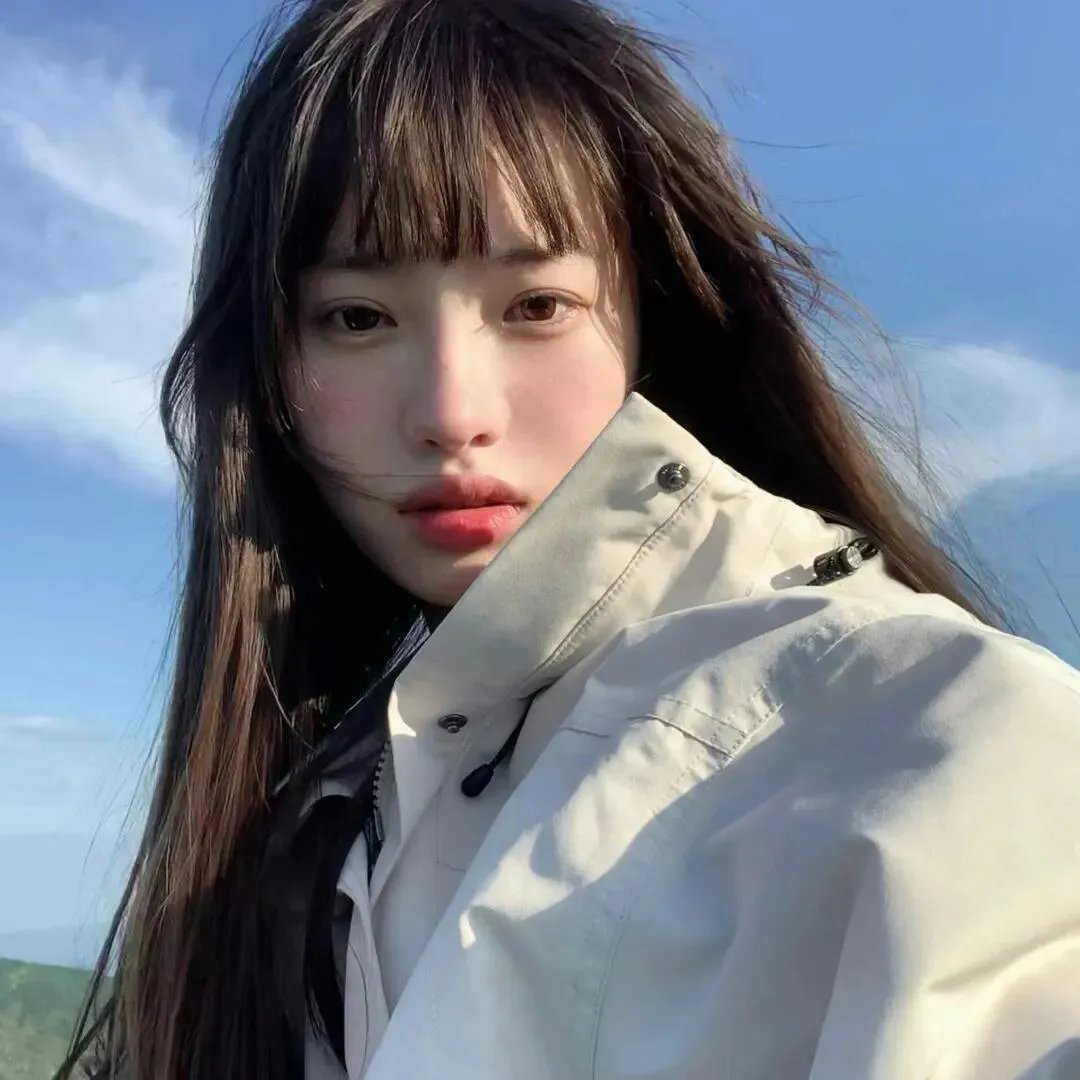 梦中的简封面