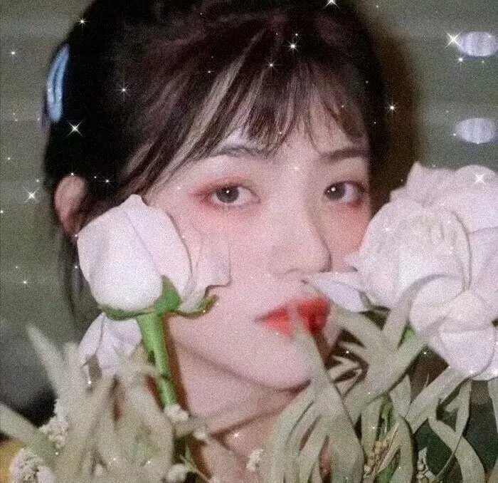 恋爱编织梦封面